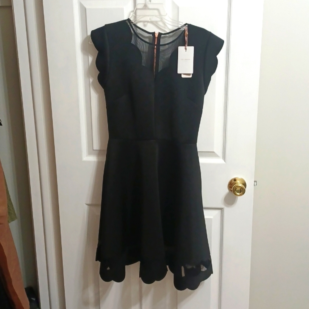 NWT Ted Baker London Mesh Paneled Scallop Dress